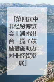 第四届中非经贸博览会丨湖南出台一揽子鼓励措施助力对非经贸发展