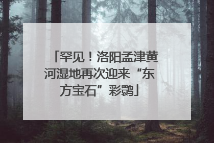 罕见！洛阳孟津黄河湿地再次迎来“东方宝石”彩鹮