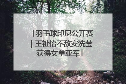 羽毛球印尼公开赛｜王祉怡不敌安洗莹 获得女单亚军