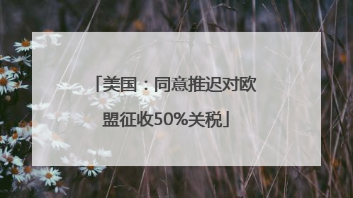 美国：同意推迟对欧盟征收50%关税