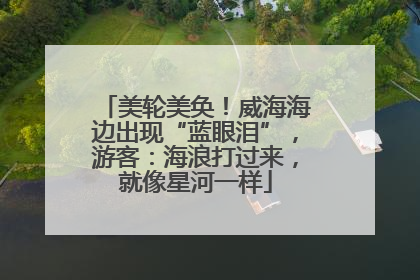 美轮美奂！威海海边出现“蓝眼泪”，游客：海浪打过来，就像星河一样