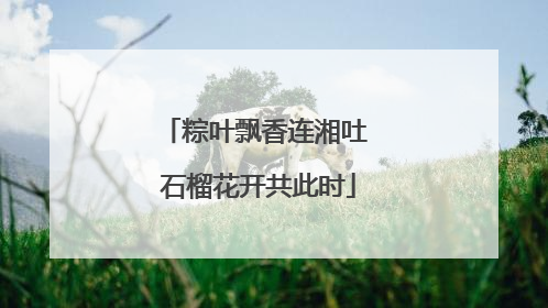 粽叶飘香连湘吐 石榴花开共此时