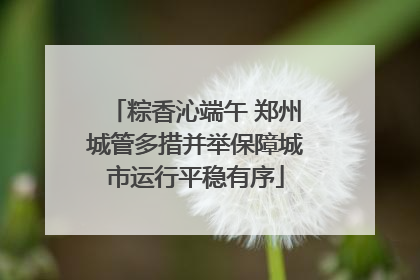粽香沁端午 郑州城管多措并举保障城市运行平稳有序