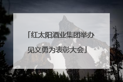红太阳酒业集团举办见义勇为表彰大会