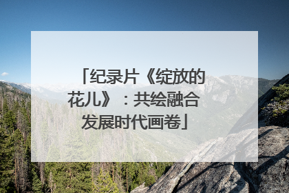纪录片《绽放的花儿》：共绘融合发展时代画卷