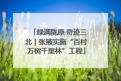 绿满陇原·奇迹三北｜张掖实施“百村万树千里林”工程