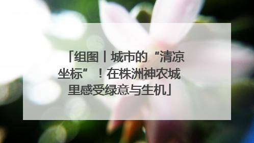 组图丨城市的“清凉坐标”！在株洲神农城里感受绿意与生机
