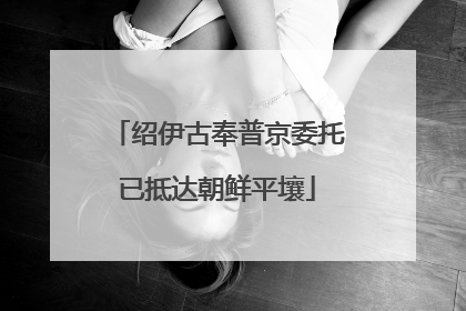 绍伊古奉普京委托已抵达朝鲜平壤