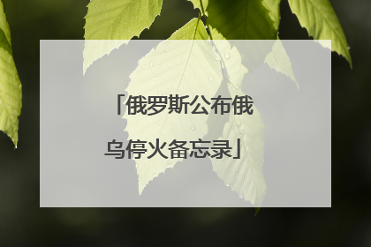 俄罗斯公布俄乌停火备忘录