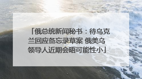 俄总统新闻秘书：待乌克兰回应备忘录草案 俄美乌领导人近期会晤可能性小