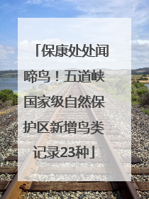 保康处处闻啼鸟！五道峡国家级自然保护区新增鸟类记录23种