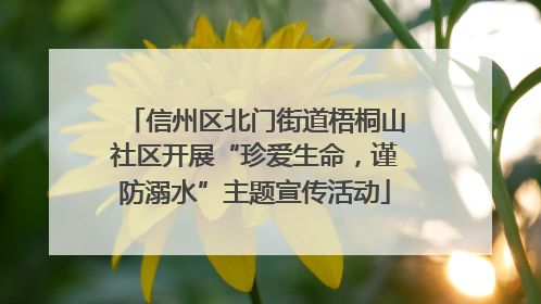 信州区北门街道梧桐山社区开展“珍爱生命，谨防溺水”主题宣传活动