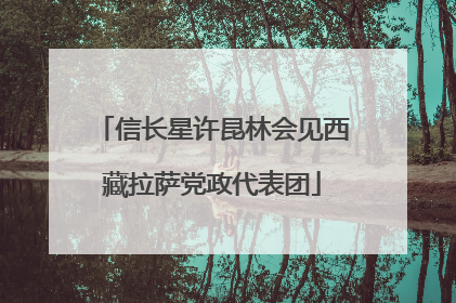 信长星许昆林会见西藏拉萨党政代表团