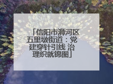 信阳市浉河区五里墩街道：党建穿针引线 治理织就锦图