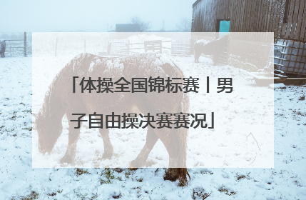 体操全国锦标赛丨男子自由操决赛赛况