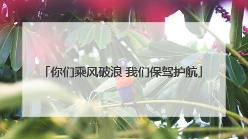你们乘风破浪 我们保驾护航