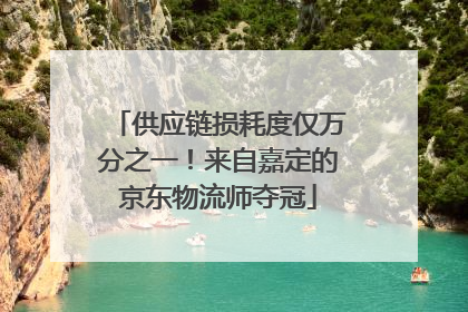 供应链损耗度仅万分之一！来自嘉定的京东物流师夺冠