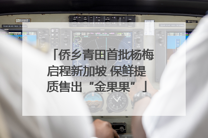 侨乡青田首批杨梅启程新加坡 保鲜提质售出“金果果”