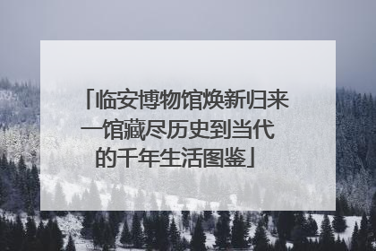 临安博物馆焕新归来 一馆藏尽历史到当代的千年生活图鉴