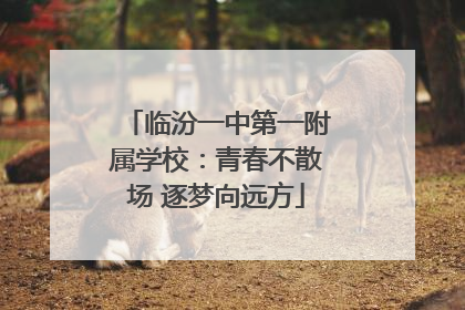 临汾一中第一附属学校：青春不散场 逐梦向远方