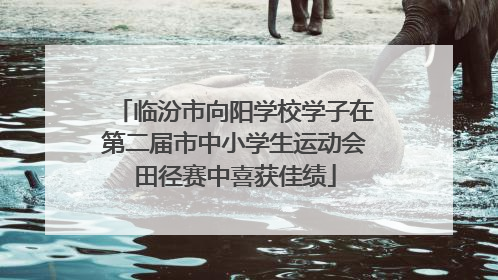 临汾市向阳学校学子在第二届市中小学生运动会田径赛中喜获佳绩