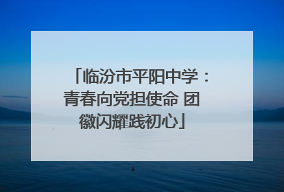 临汾市平阳中学：青春向党担使命 团徽闪耀践初心