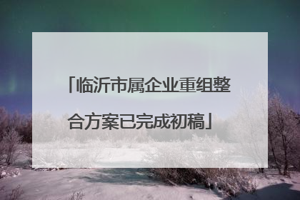临沂市属企业重组整合方案已完成初稿