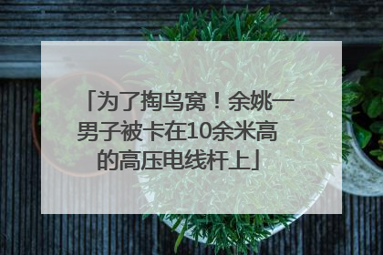 为了掏鸟窝！余姚一男子被卡在10余米高的高压电线杆上