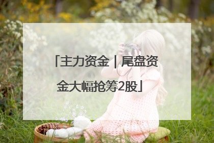 主力资金｜尾盘资金大幅抢筹2股