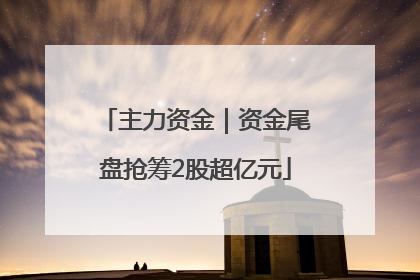 主力资金｜资金尾盘抢筹2股超亿元