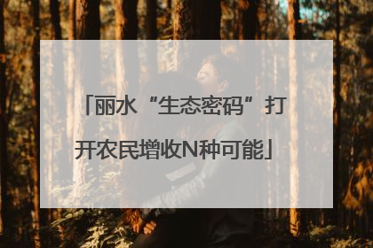 丽水“生态密码”打开农民增收N种可能