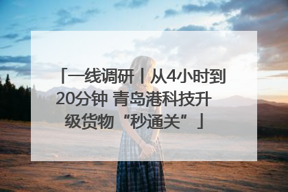 一线调研丨从4小时到20分钟 青岛港科技升级货物“秒通关”