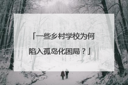 一些乡村学校为何陷入孤岛化困局？