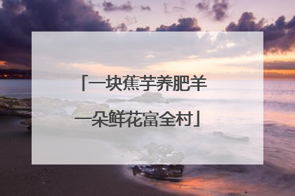 一块蕉芋养肥羊 一朵鲜花富全村