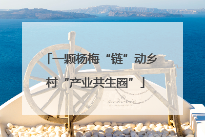 一颗杨梅“链”动乡村“产业共生圈”