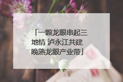 一颗龙眼串起三地情 泸永江共建晚熟龙眼产业带