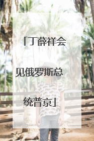 丁薛祥会见俄罗斯总统普京