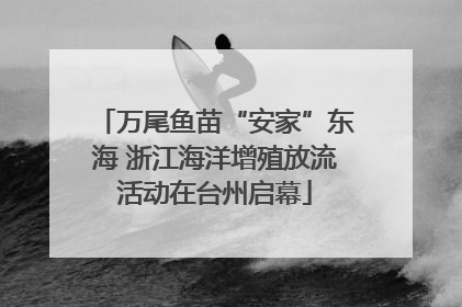 万尾鱼苗“安家”东海 浙江海洋增殖放流活动在台州启幕