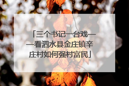 三个书记一台戏——看泗水县金庄镇辛庄村如何强村富民