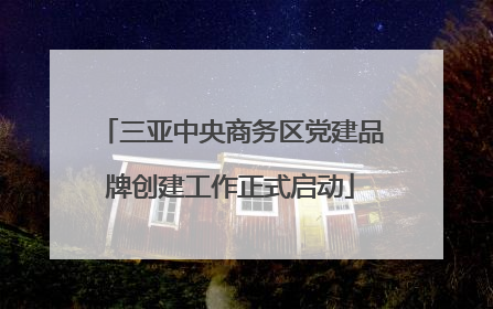 三亚中央商务区党建品牌创建工作正式启动