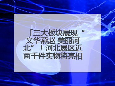 三大板块展现“文华燕赵 美丽河北”！河北展区近两千件实物将亮相深圳文博会