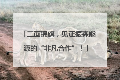 三面锦旗，见证振森能源的“非凡合作”！