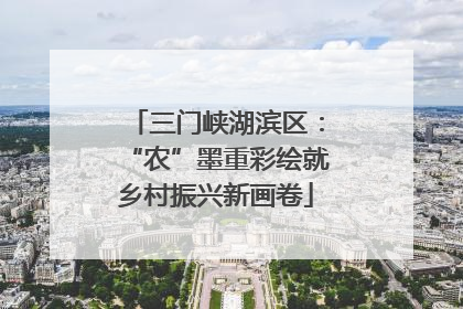 三门峡湖滨区：“农”墨重彩绘就乡村振兴新画卷