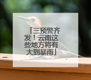 三预警齐发！云南这些地方将有大到暴雨