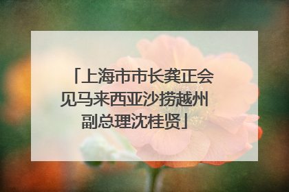 上海市市长龚正会见马来西亚沙捞越州副总理沈桂贤