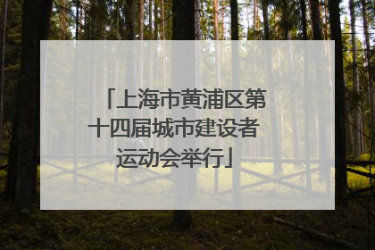 上海市黄浦区第十四届城市建设者运动会举行