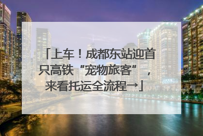 上车！成都东站迎首只高铁“宠物旅客”，来看托运全流程→
