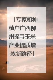专家和种植户广西柳州探寻玉米产业提质增效新路径