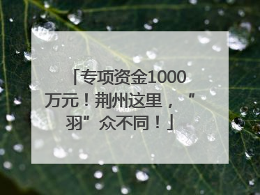 专项资金1000万元！荆州这里，“羽”众不同！