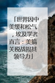 世界因中美缓和松气，埃及学者直言：美搞关税战损其领导力